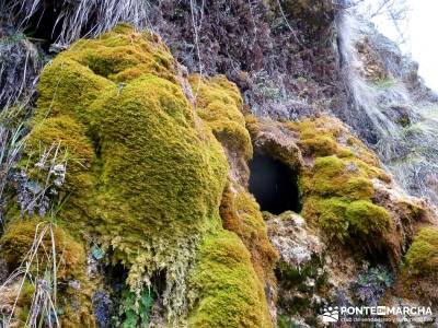 Hoces y cañones del Río Piedra y del Río Gallo -- Laguna Gallocanta - excursiones y senderismo;ma